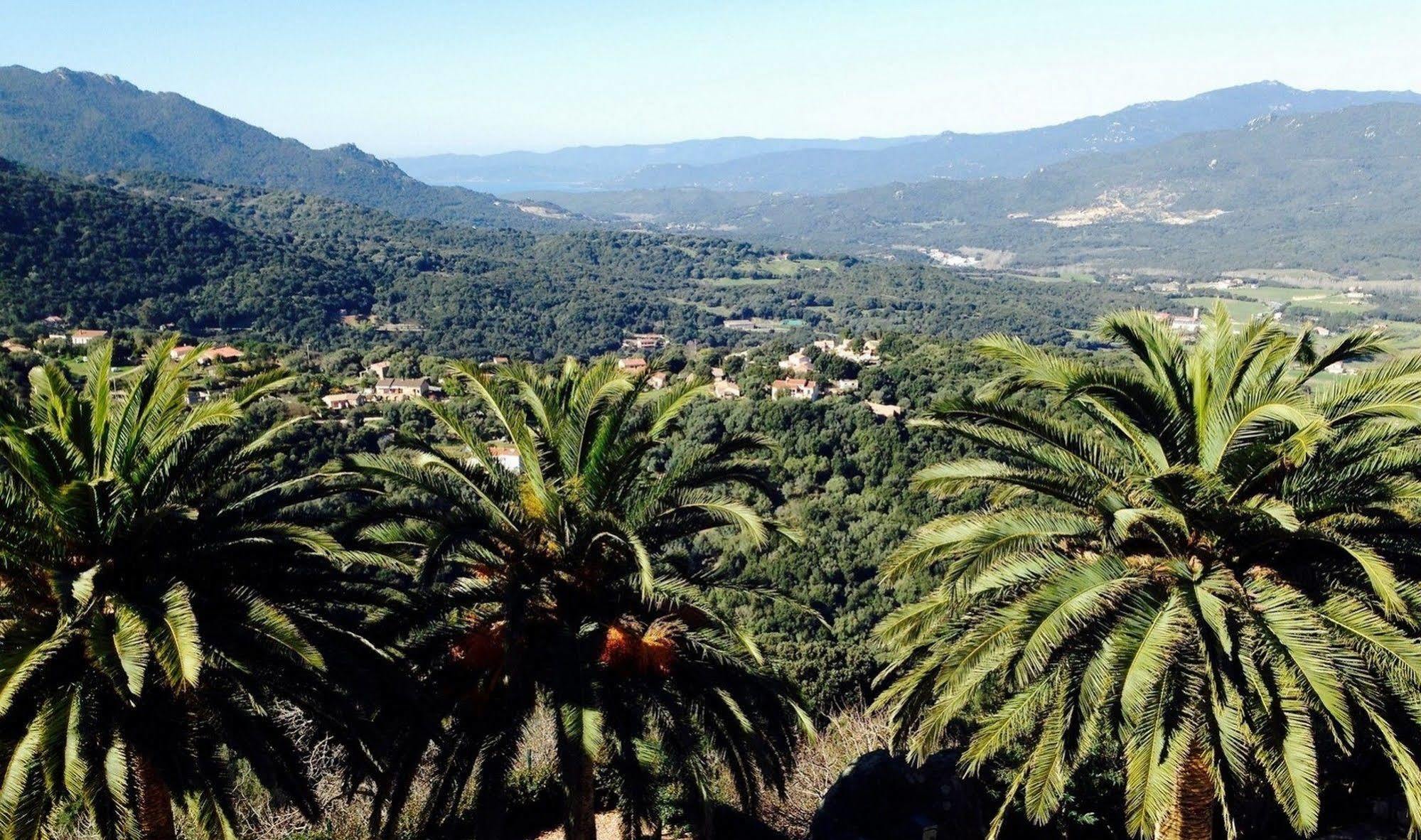 Sartène Hotel Des Roches מראה חיצוני תמונה